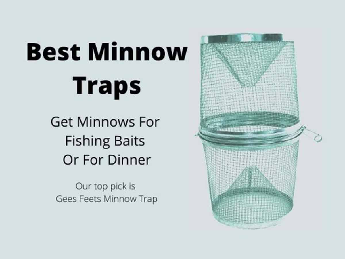 Best Minnow Traps 2021 Reviews & Buying Guide Marine Waterline